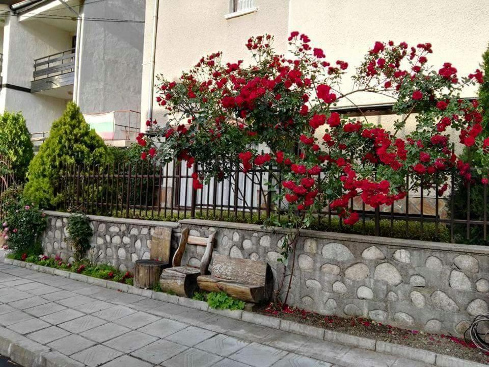 Discovery Apartment בנסקו מראה חיצוני תמונה